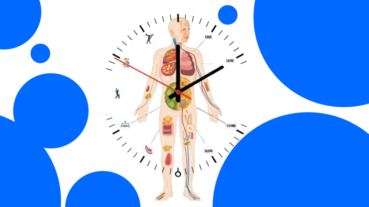 Biological Clock: Understanding and Optimizing Your Body's Natural Rhythm